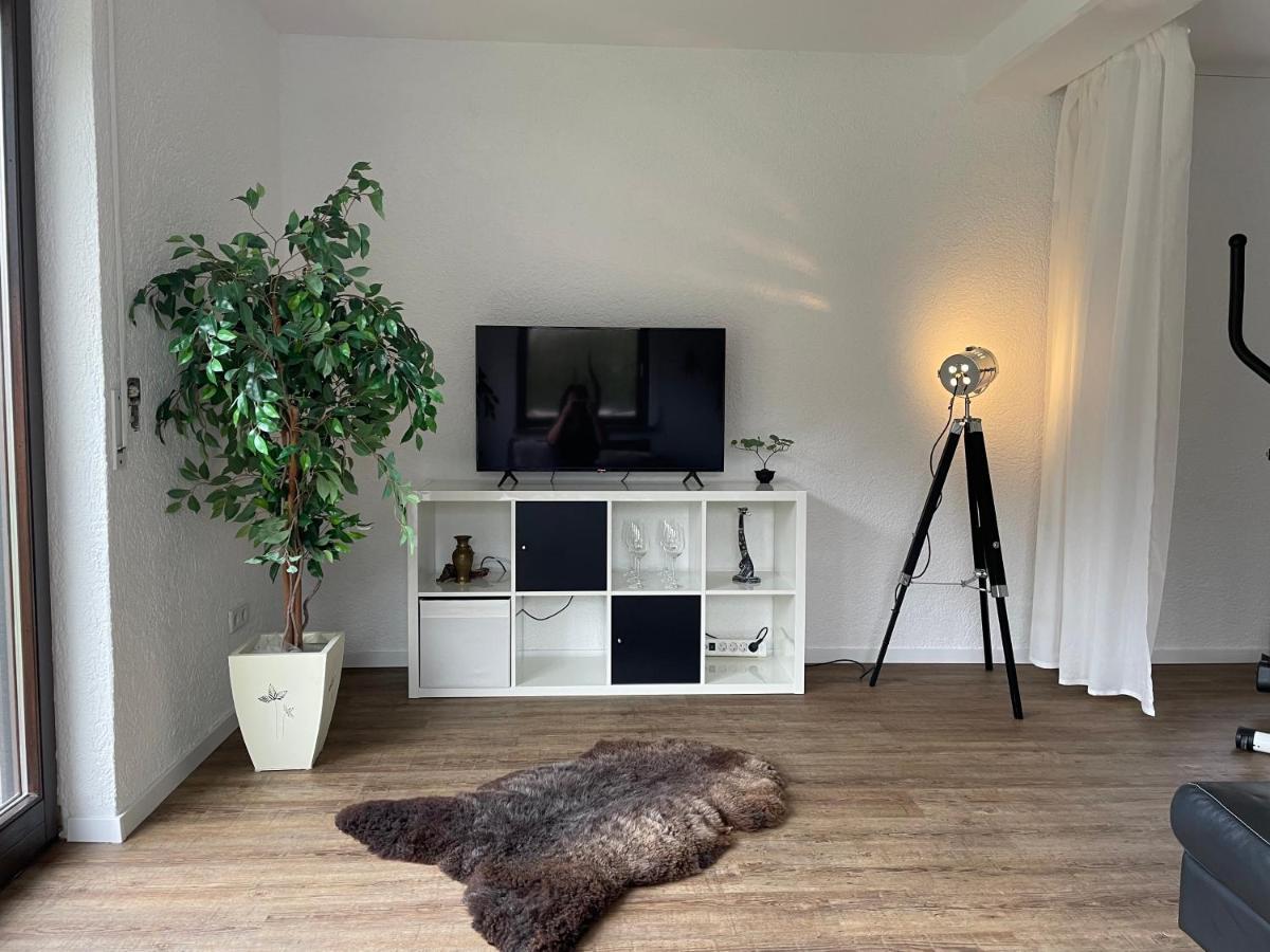 Dicker Stein Apartment
